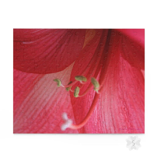 Amaryllis Puzzle - 3 Piece Options 10’’ × 8’’ (120 Pcs)