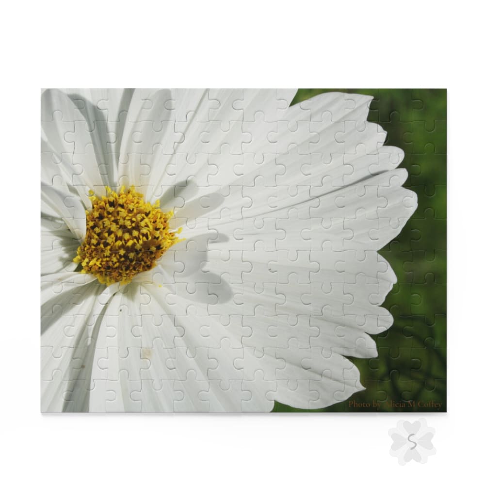 Cosmos Floral Puzzle - 3 Piece Options 10’’ × 8’’ (120 Pcs)