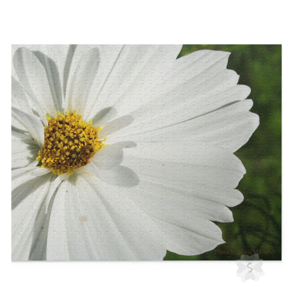 Cosmos Floral Puzzle - 3 Piece Options 20’’ × 16’’ (500 Pcs)