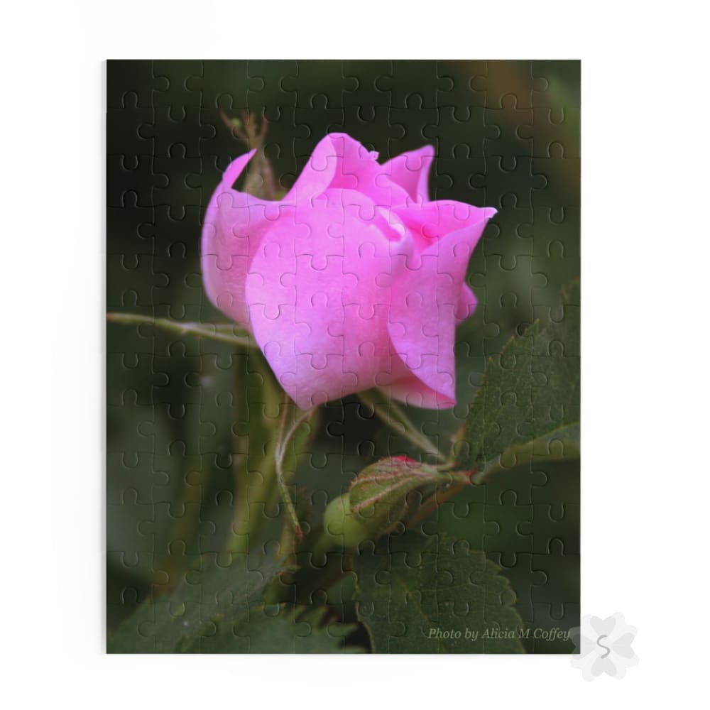 Pink Rose Puzzle - 2 Piece Options 10’’ × 8’’ (120 Pcs)