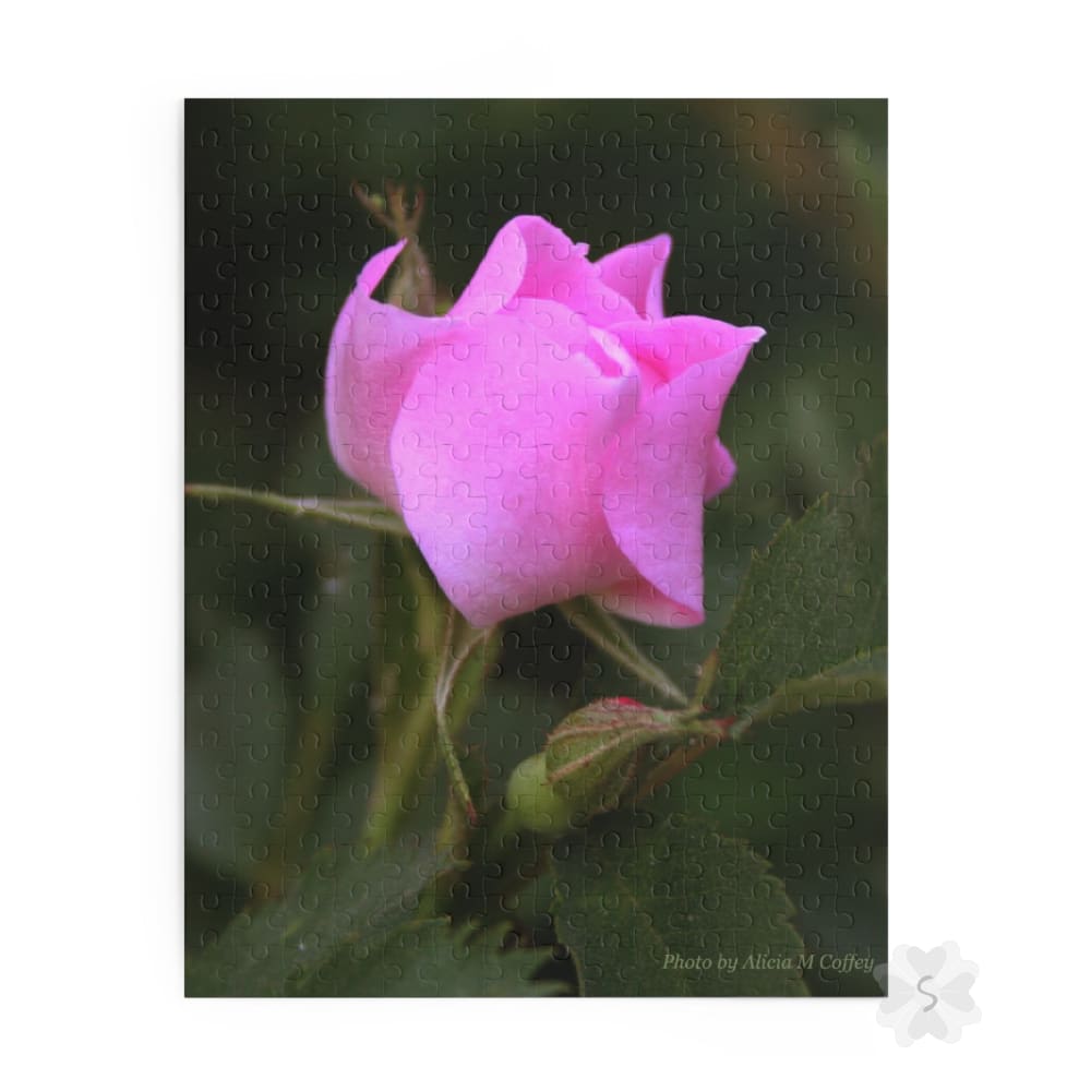 Pink Rose Puzzle - 2 Piece Options 14’’ × 11’’ (252 Pcs)